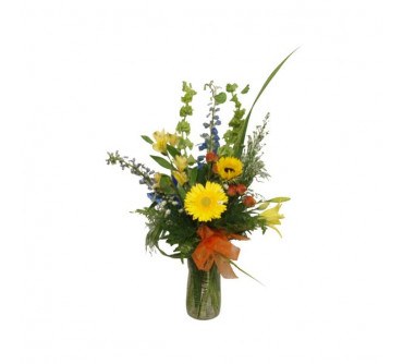 Arrangement explosion de couleurs